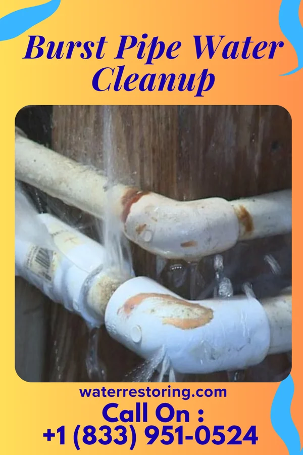 Burst Pipe Water Cleanup in Mundys Corner, PA