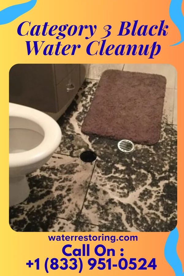 Category 3 Black Water Cleanup in Mundys Corner, PA
