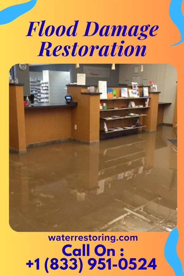 Flood Damage Restoration in Mundys Corner, PA