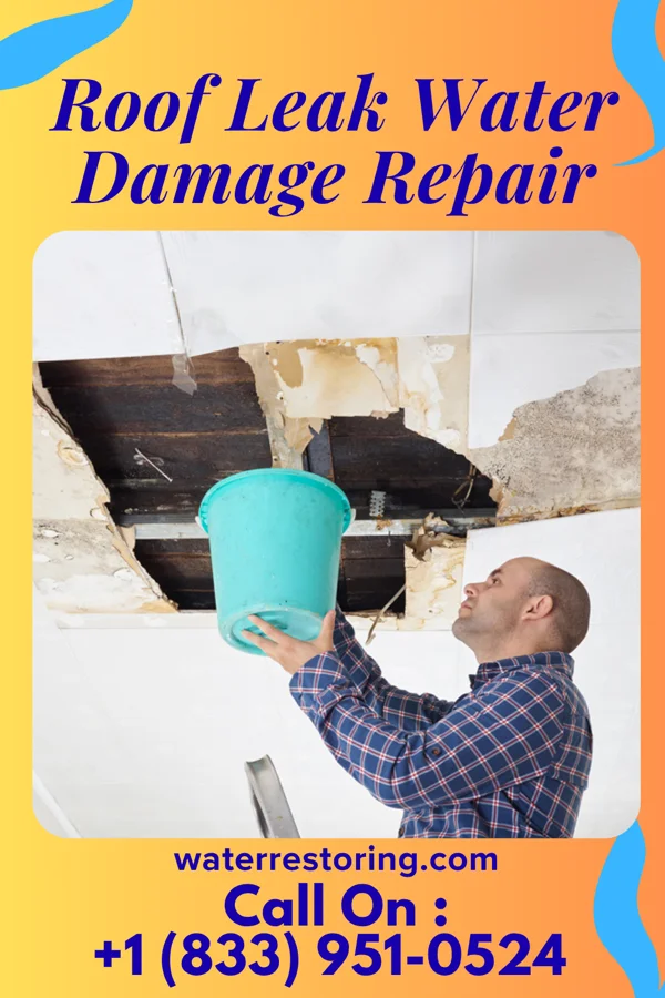 Roof Leak Water Damage Repair in Mundys Corner, PA