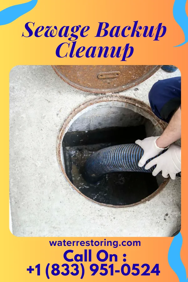 Sewage Backup Cleanup in Mundys Corner, PA
